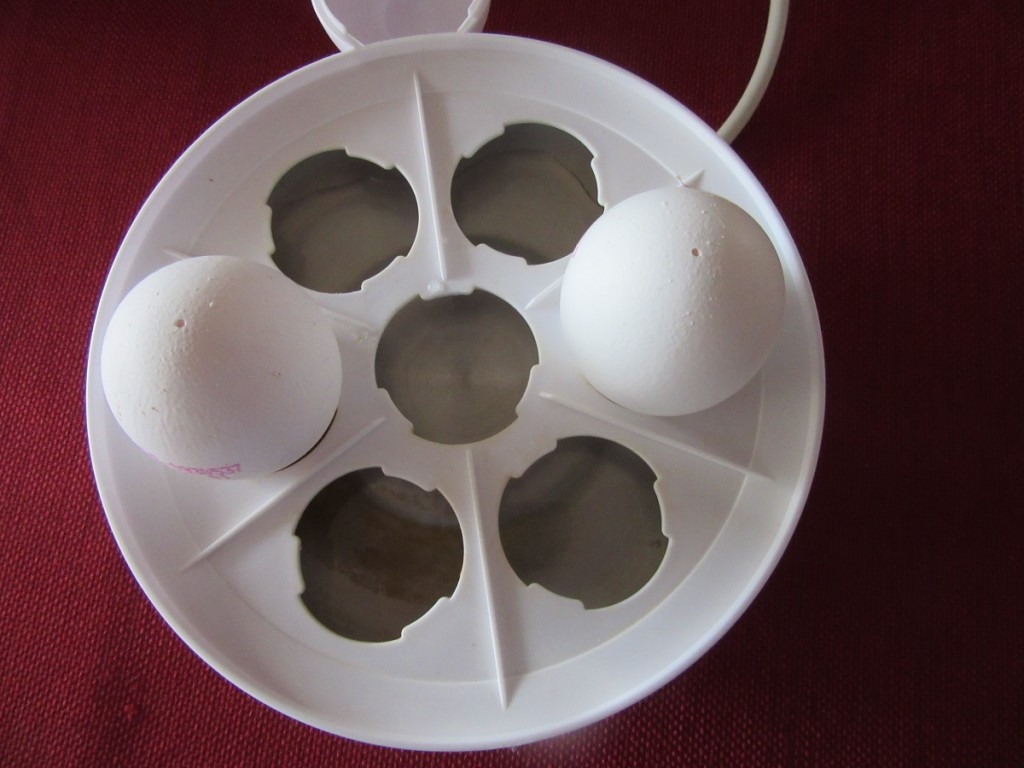 electric-egg-cooker-or-dan-s-favorite-gadget